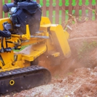 Redmond Tree Service Elite