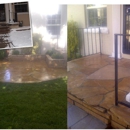 Wild Irishman Tree and Landscape - Tree Service