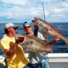 Sea Leveler Sport Fishing Charters