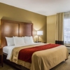 Comfort Inn & Suites Morgan City gallery