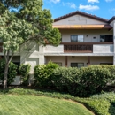 Greentree Terrace Apartments - Apartments