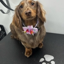 Aussie Pet Mobile of Plano, Allen, and Wylie