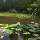 Lotus Lake Lodge - Tourists' Homes