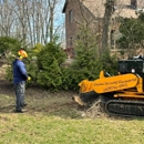 Viking Stump Removal - Excavation Contractors