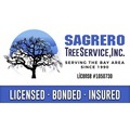 Sagrero Tree Service - Arborists