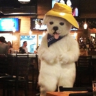 Sea Dog Brewing Company