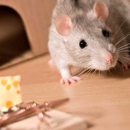 Jolly Roger Pest Control - Pest Control Services