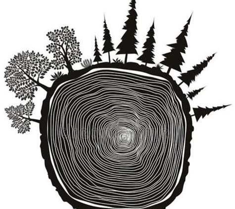 Aspen Tree Care