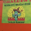 Chalupa's gallery
