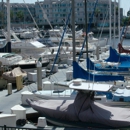 Dolphin Marina Slips - Marinas
