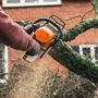 Halbro Tree Service