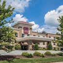 Comfort Suites Whitsett-Greensboro East - Motels
