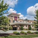 Comfort Suites Whitsett-Greensboro East
