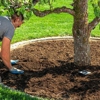 Foran Lawn & Yard gallery