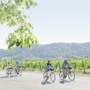 Sonoma Valley Bike Tours