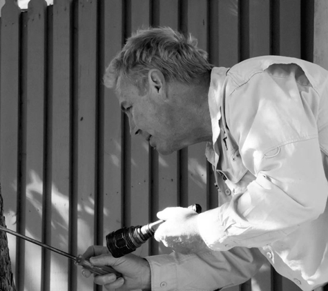 Mr. Bugs Pest Control Service Pty Ltd - Woonona, NSW. Testing Of Trees