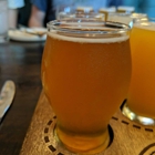 Scout & Scholar Brewing Company