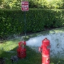 Certified Fire Extinguisher