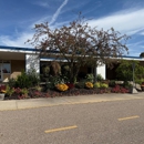 Kalamazoo Country Day School - Preschools & Kindergarten