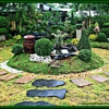 Hispanics Landscaping gallery