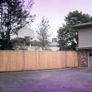 Photo #11