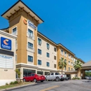 Comfort Inn & Suites - Motels