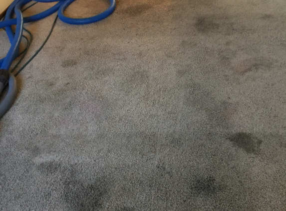 Spots Gone Carpet Cleaning & Restoration - Big Lake, MN