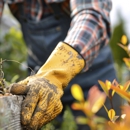 First Choice Tree Service Corp - Tree Service