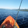 Knudson Cove Marina gallery