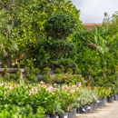 Moon Valley Nurseries