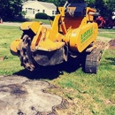 Lopez Tree Service - Stump Removal & Grinding