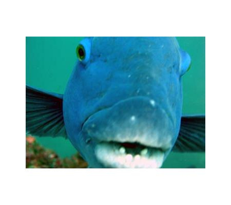 South West Rocks Marine & Auto Centre - South West Rocks, NSW