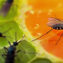 Abra Kadabra Environmental Services - Pest Control Equipment & Supplies