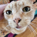 Small Pet Animals LLC - Pet Services