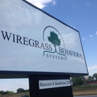 Wiregrass Behavioral Systems, PC
