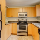 Sammamish View Apartments - Apartments