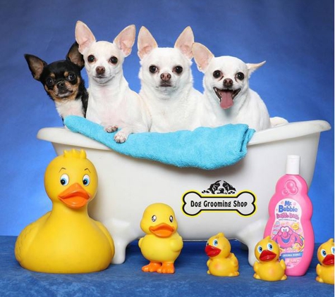 Dog Grooming Shop - Arlington, TX