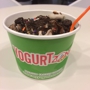 Yogurt Zone