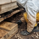 All About Pest Control Inc - Pest Control Equipment & Supplies