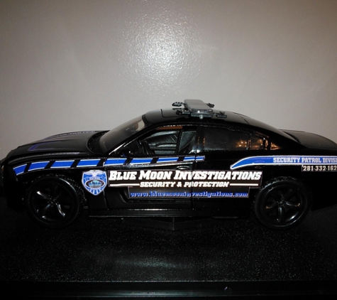 Blue Moon Investigations Security and Protection - Webster, TX