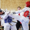 Shiba Taekwondo - Schools