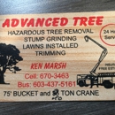 Advanced Tree Service - Tree Service