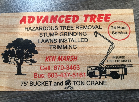 Advanced Tree Service
