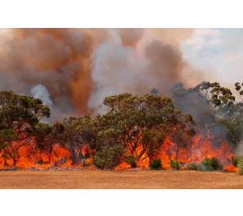 NRLinks Pty Ltd - Clunes, VIC