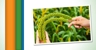 WMG Agriservices