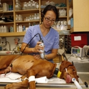 Animal General - Veterinary Clinics & Hospitals