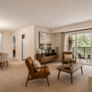 Stoneridge at Mark Center Apartment Homes - Apartments
