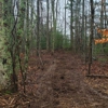 Moose Creek Land Clearing gallery