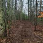 Moose Creek Land Clearing