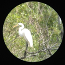 Six Mile Cypress Slough Preserve - Social Service Organizations